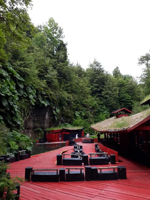 Do not skip Termas Geométricas if you're traveling through southern Chile! Lush, humid greenery mixed with gorgeous m…