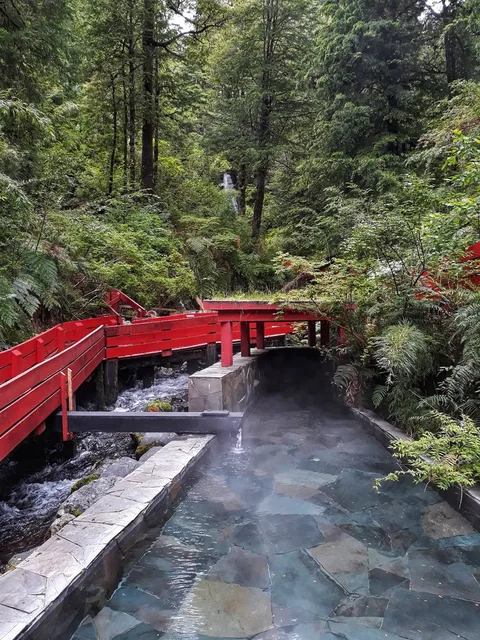 Do not skip Termas Geométricas if you're traveling through southern Chile! Lush, humid greenery mixed with gorgeous m…