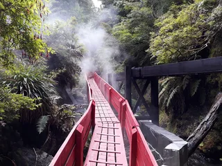 Do not skip Termas Geométricas if you're traveling through southern Chile! Lush, humid greenery mixed with gorgeous m…